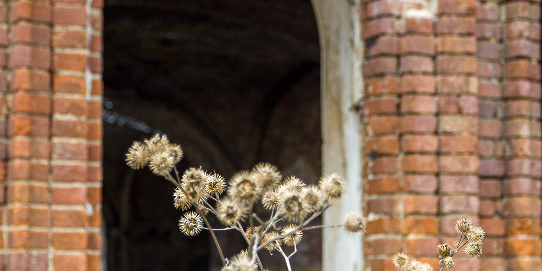 Жизнь все равно побеждает