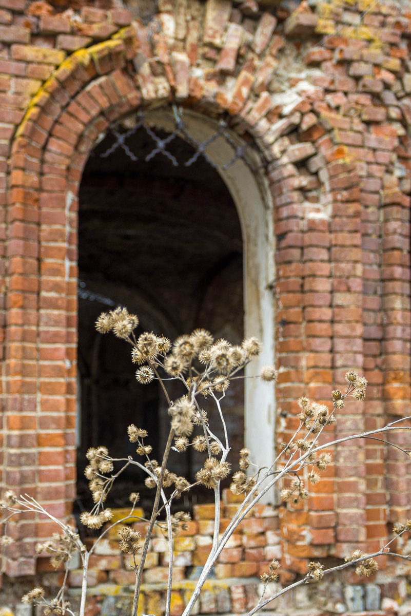 Фото: Александр Панов.