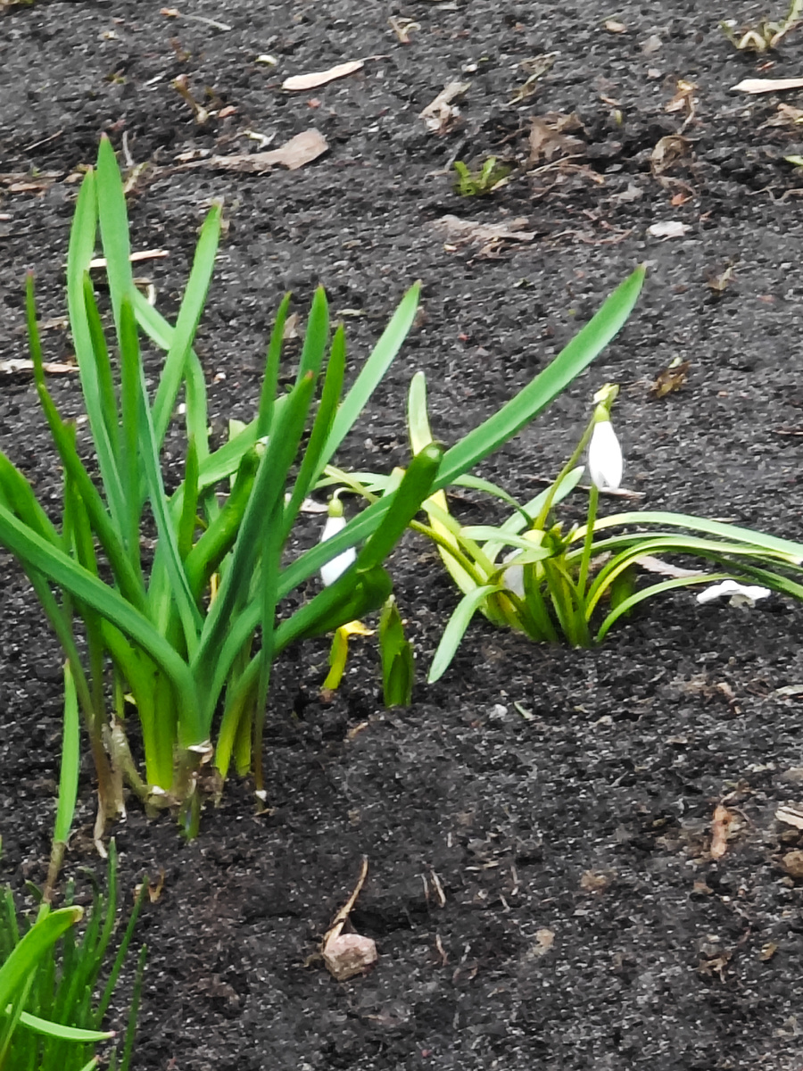 Фото автора канала 