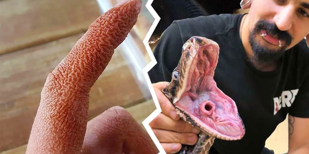 12, казалось бы, странных вопросов, которые на самом деле требуют ответа