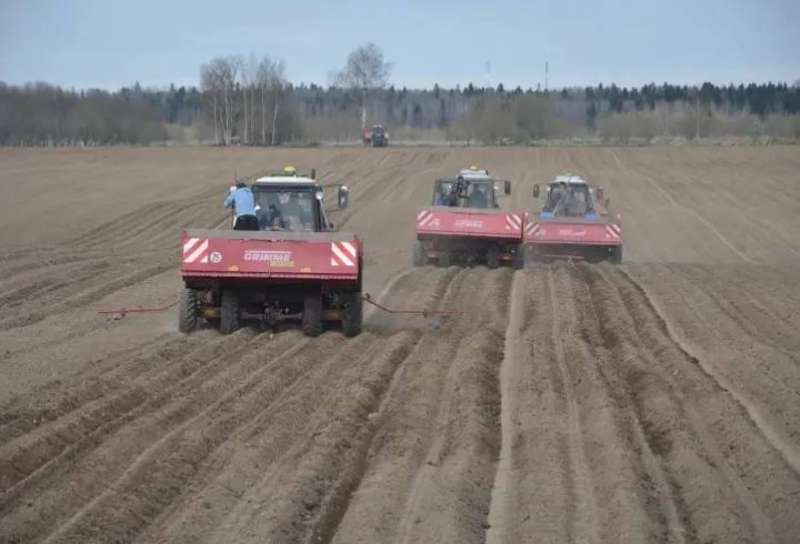 фото: Пресс-служба Ленинградской области