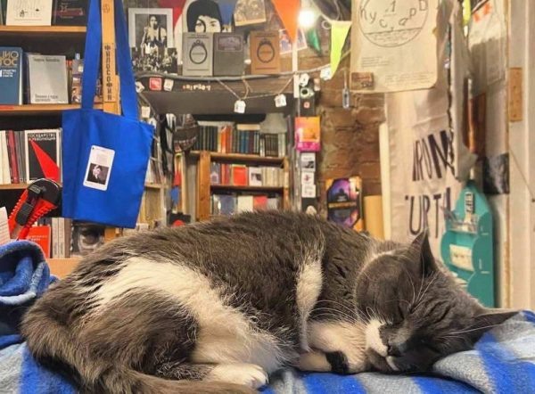 Кто видел Собянина с книжкой? (К закрытию в Москве книжного магазина «Ходасевич»)