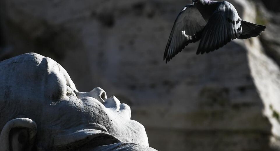    РИА «Новости»