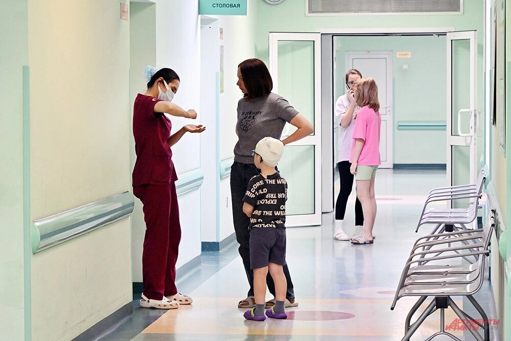    Фото: АиФ/ Эдуард Кудрявицкий