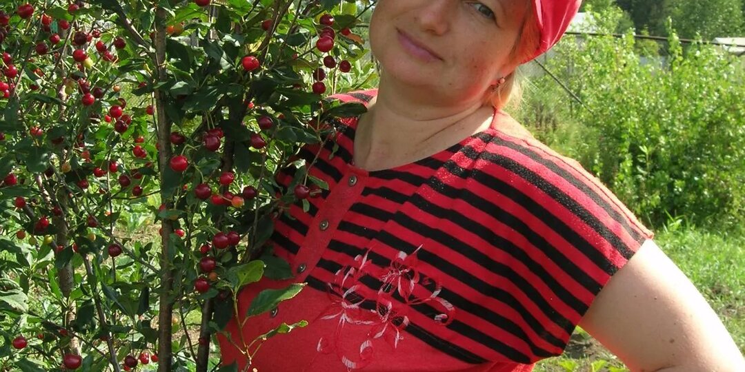 Что такое корнесобственное плодовое растение?