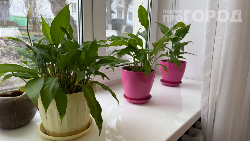    Фото: ПроГород