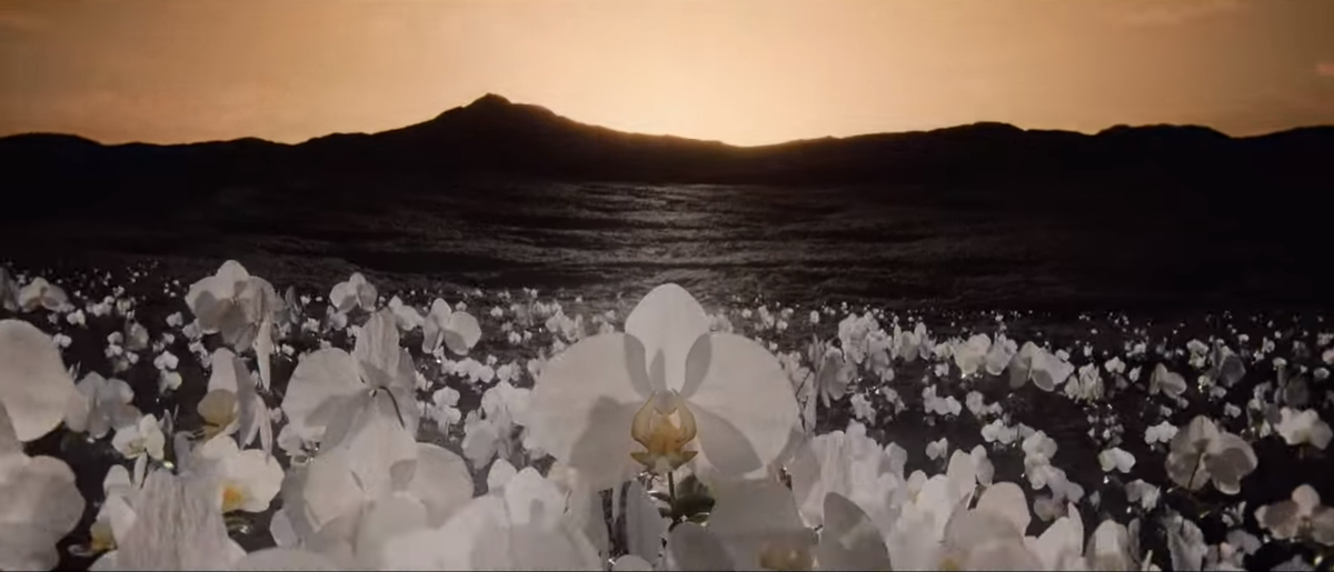 Те самые орхидеи, возобновляемый источник энергии (с) Кадр из фильма