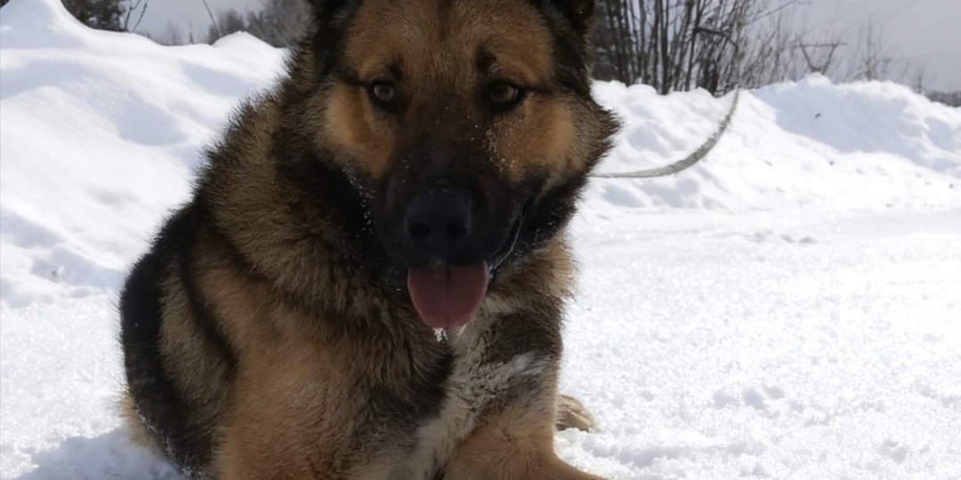 10 метров вперед, 10 метров назад. История Аксая