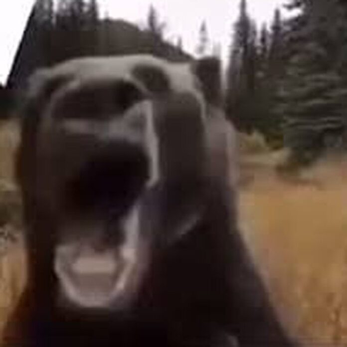    Прощание с пикселями: Как вирусный мем-промпт переосмыслил цифровую археологию и привел к закату индустрии бюджетных камер.