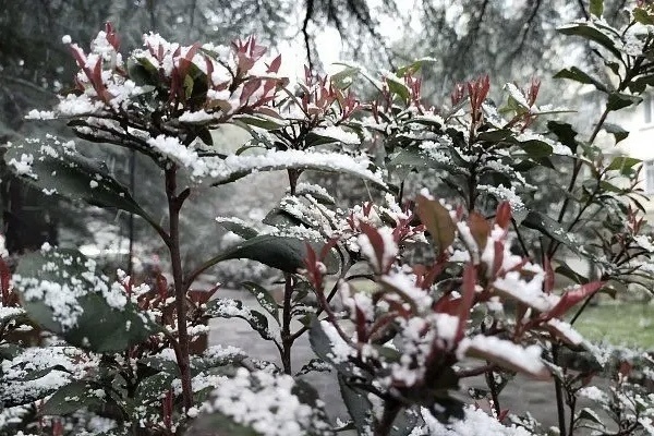    Администрация города Сочи