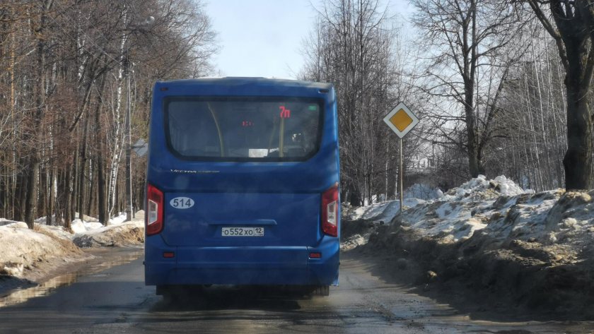    Фото: МариМедиа с сайта www.marimedia.ru