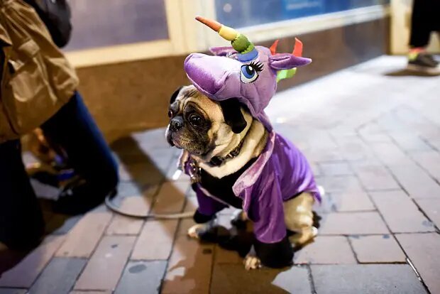    Источник: lenta.ru/ Роман Булатов