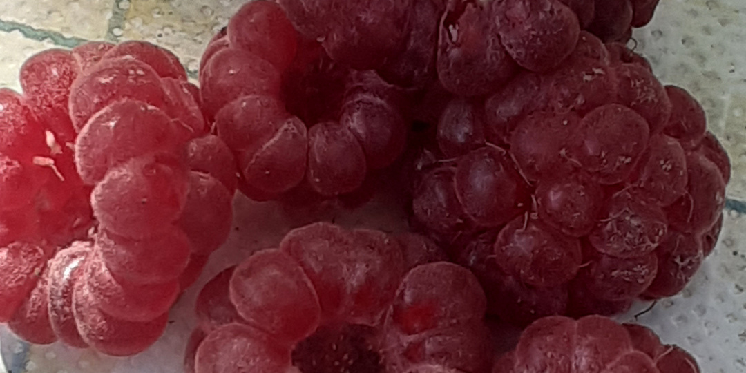 Поголубела клубника?