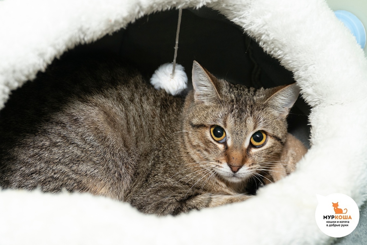 Просекко станет вам самым лучшим доктором.