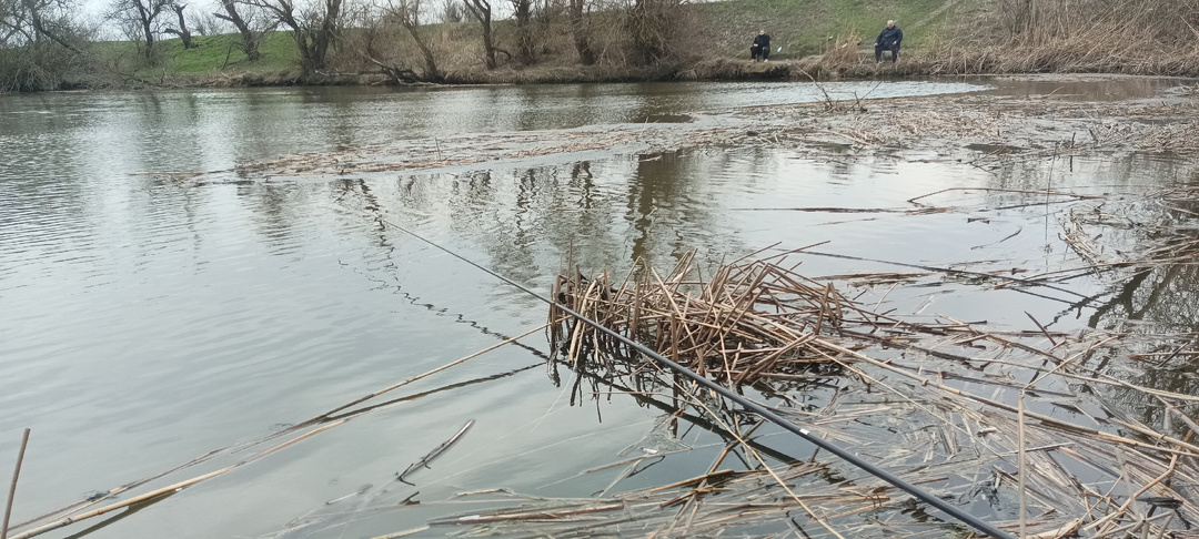Первая рыбалка в году — смена места решила всё