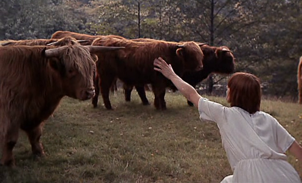 Кадр из фильма "Влюбленные женщины" (1969)