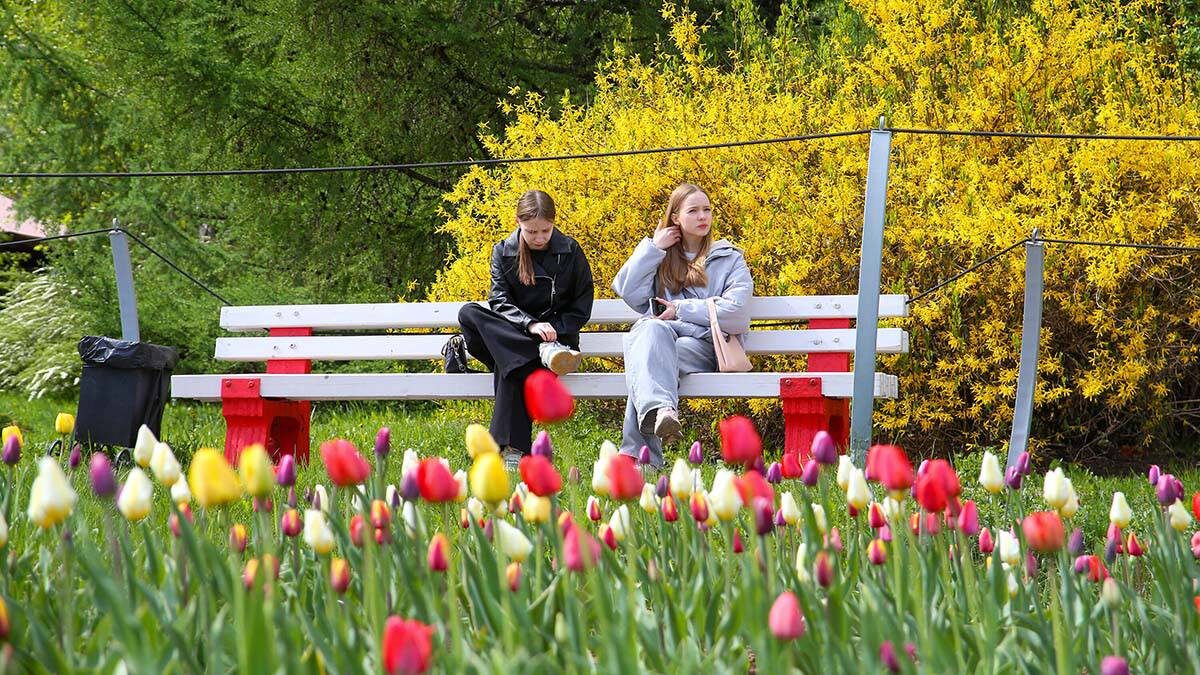    Фото: Сергей Ведяшкин / АГН Москва