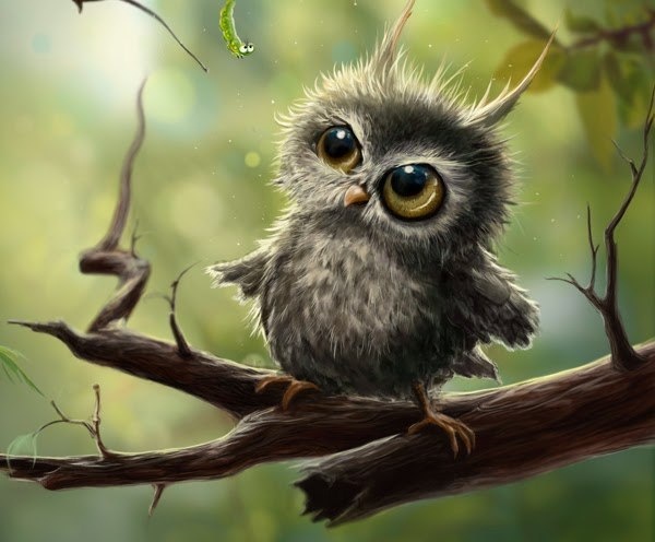 Картинка взята из Интернета