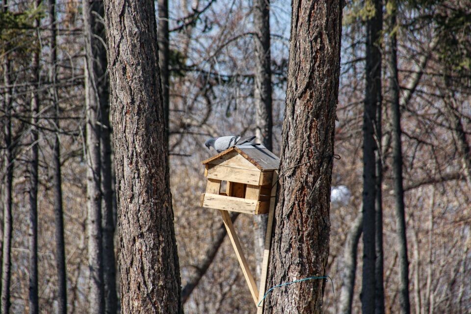    Нагорный парк, весна. Источник: Виталий Барабаш