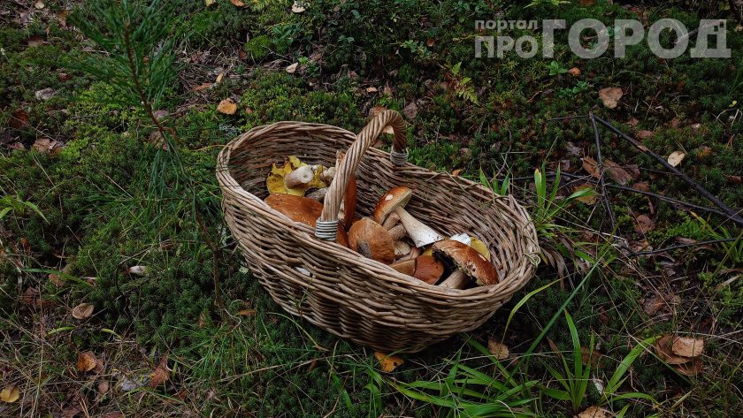    Фото: ПроГород