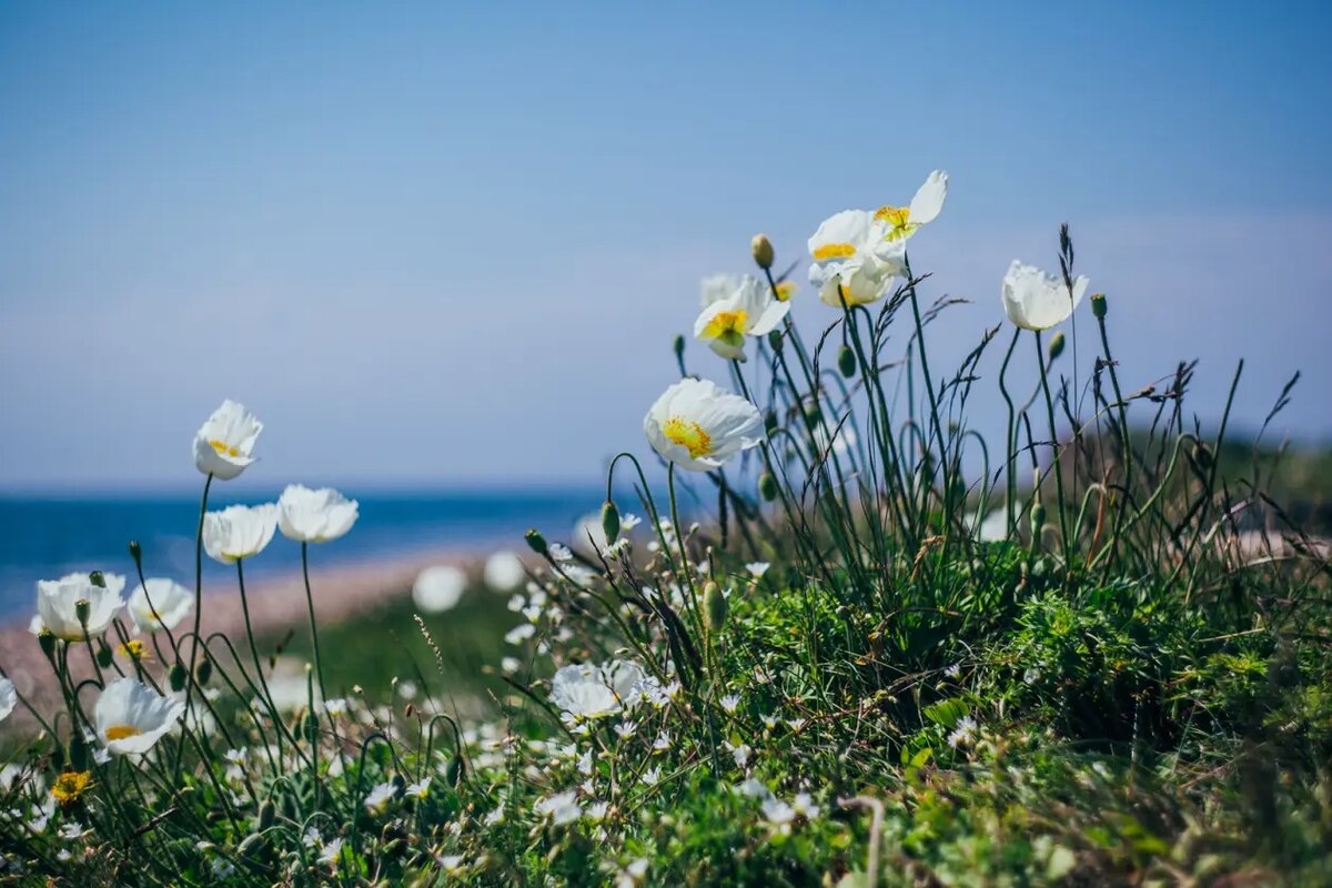    Источник: primamedia.ru/ Кирилл Степанов