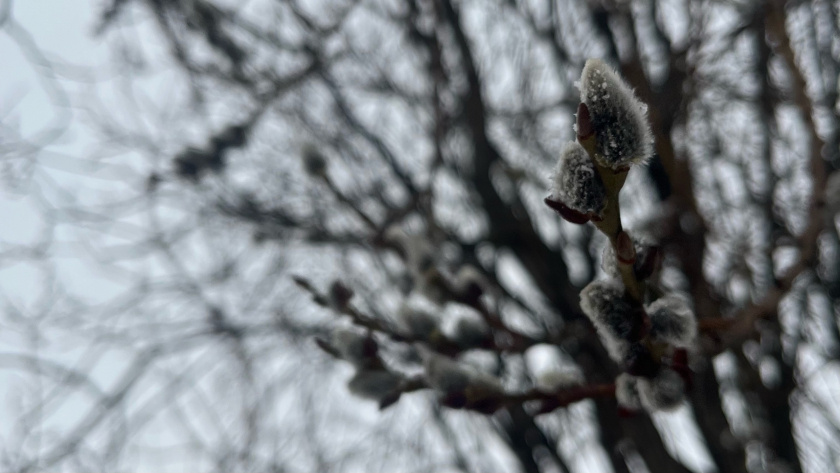    Фото из архива редакции