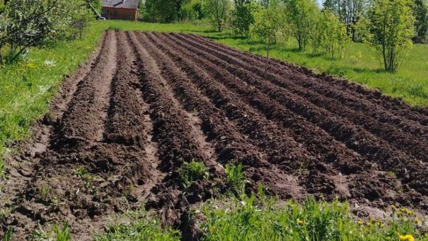    фото smilekaluga.ru