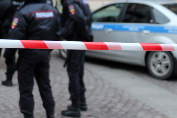 Kristina Nosova/Shutterstock/FOTODOM   📷