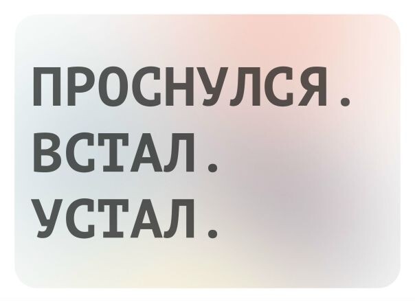 фото из открытого источника