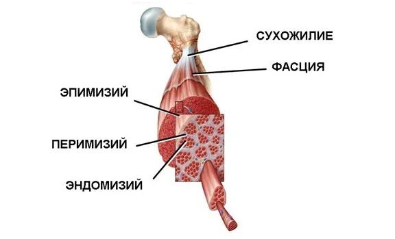 фото из открытого источника