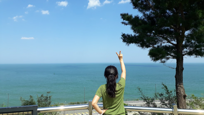    Фото с сайта unsplash.com