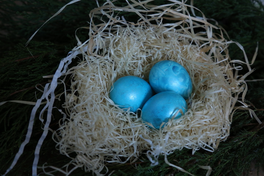    Фото: nsknews.info