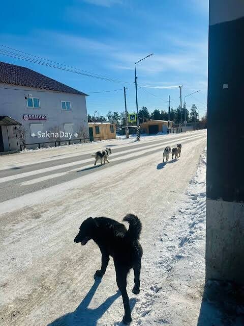 Реальный снимок