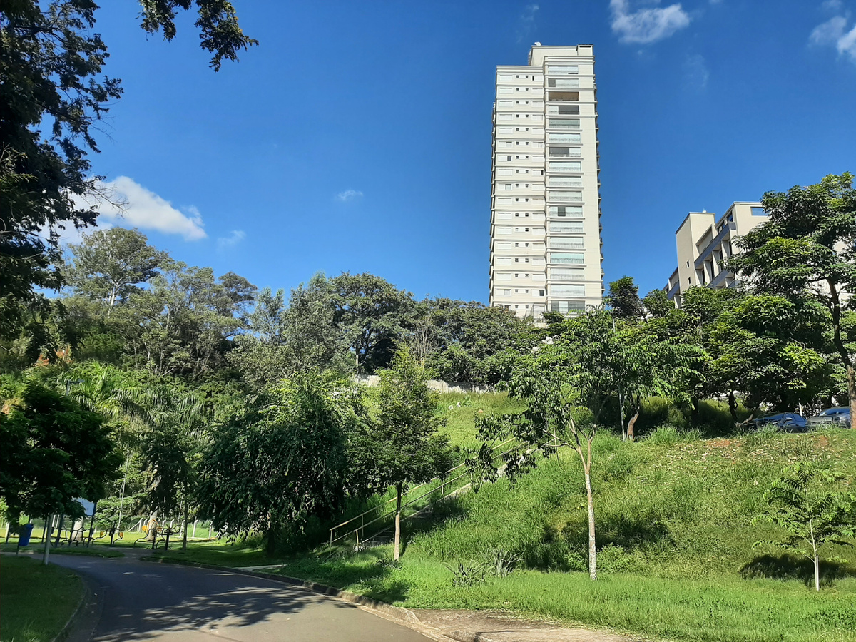 Бразильский город Кампинас.