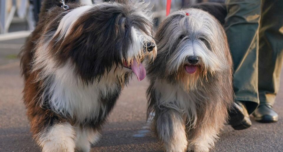    Ioannis Alexopoulos/Keystone Press Agency / www.globallookpress.com