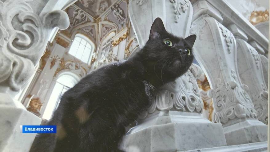    Источник фото: