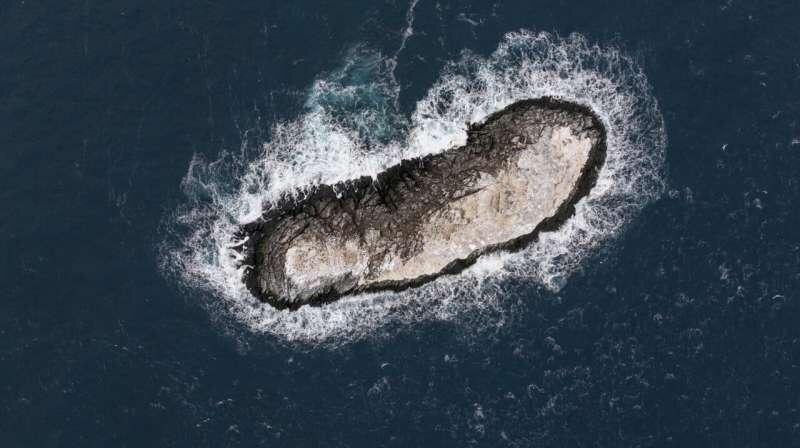 Участники антарктической экспедиции обнаружили в море Уэдделла остров, который еще не был нанесен на морские карты, фото:Alfred-Wegener-Institut / Christian Haas