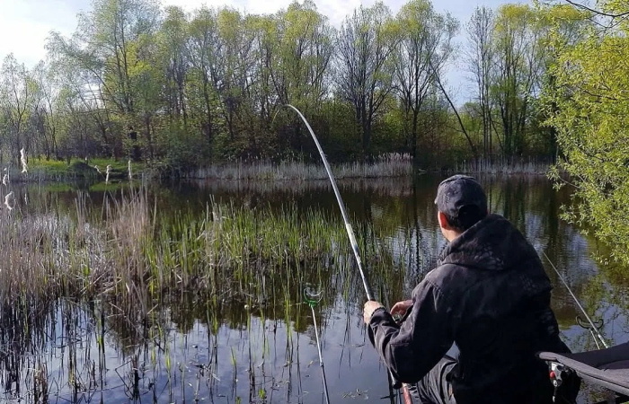 Апрельские тропы: секреты ловли на речных мелководьях