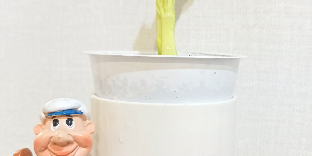 "Опытируем" с сельдереем...