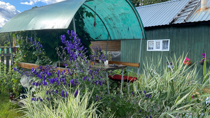    фото из архива редакции