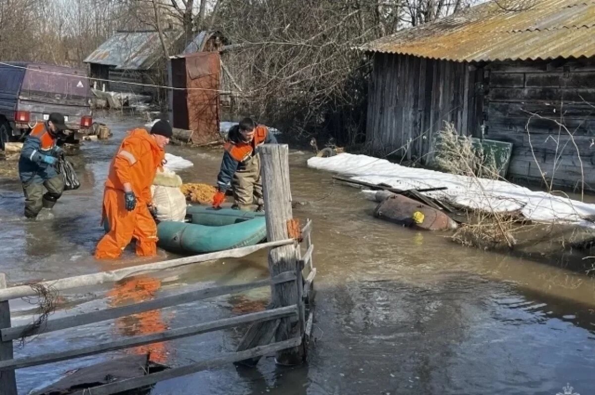    157 участков и девять жилых домов находятся в зоне подтопления на Алтае