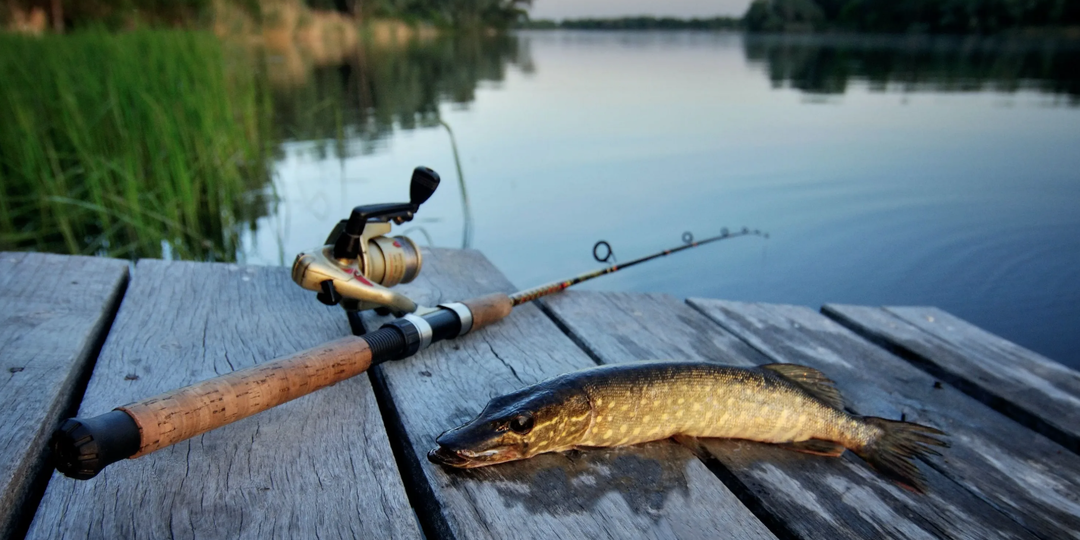Обновляются правила для всех, кто ходит на рыбалку: что изменится и почему