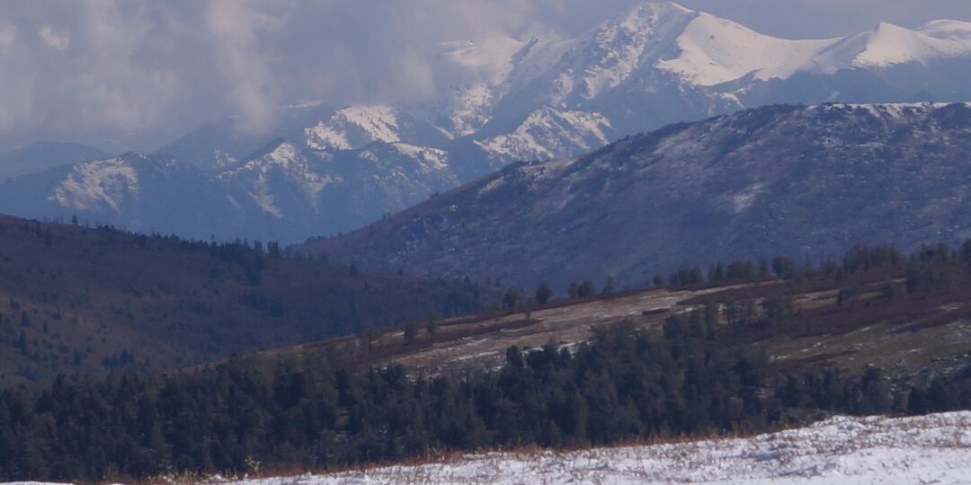 Про предков немного...