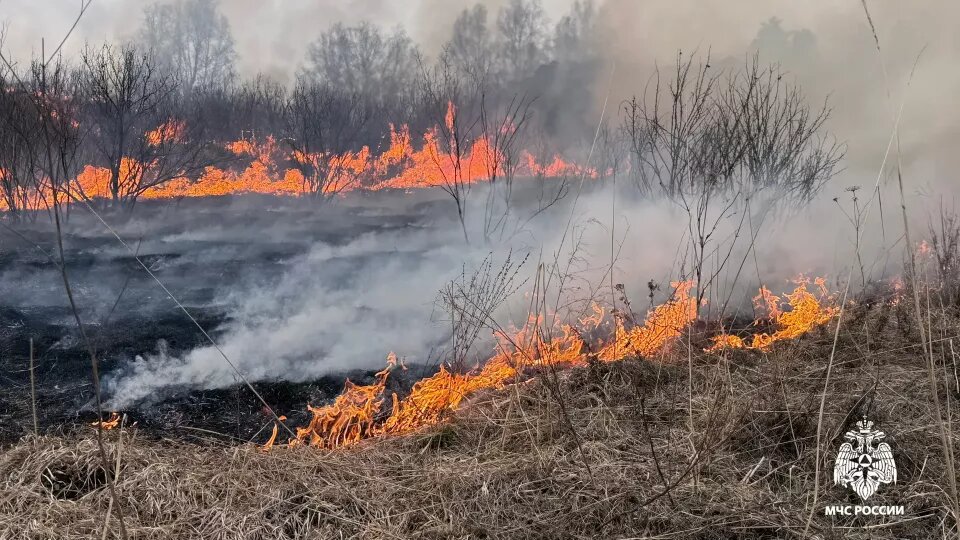    Ландшафтный пожар в Шебалинском районе Республики Алтай. Источник: ГУ МЧС России по Республике Алтай