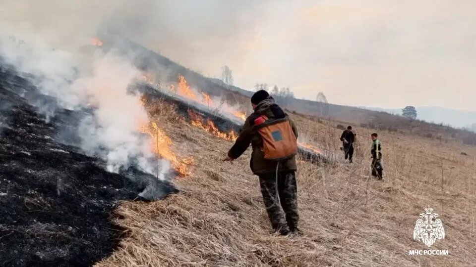    Ландшафтный пожар в Шебалинском районе Республики Алтай. Источник: ГУ МЧС России по Республике Алтай
