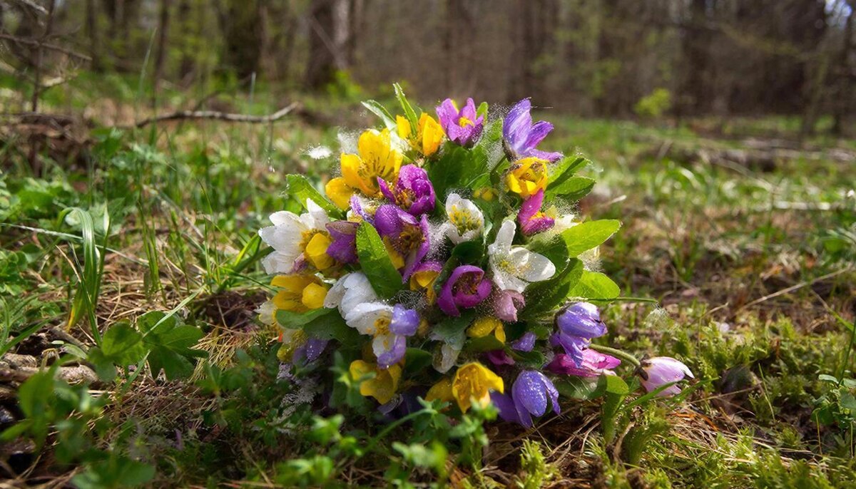 Энергии для подведения итогов и получения желаемого, в пятницу будет поэнергичнее.