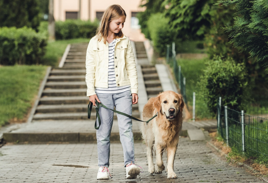    Shutterstock/FOTODOM