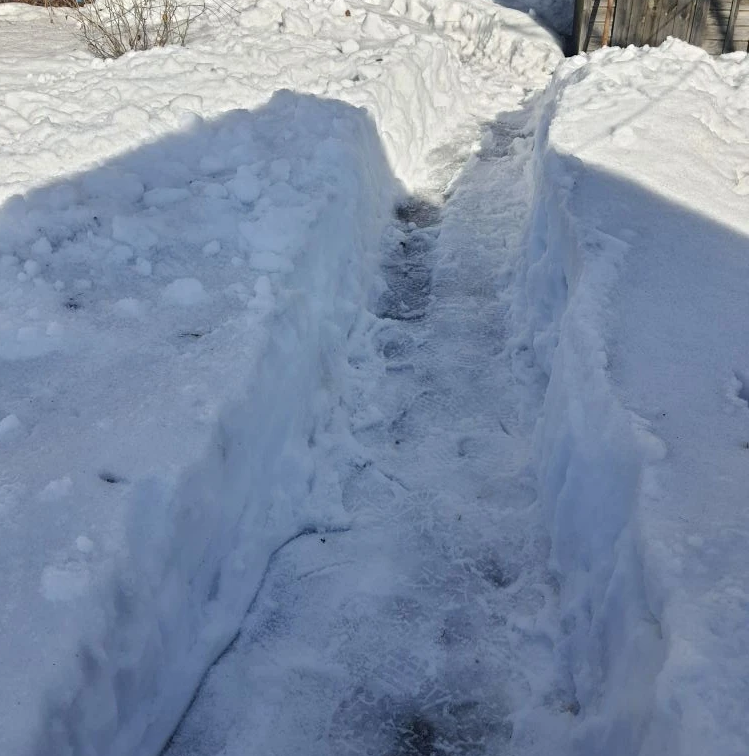 04.04.2026 На уровне "огородной" террасы