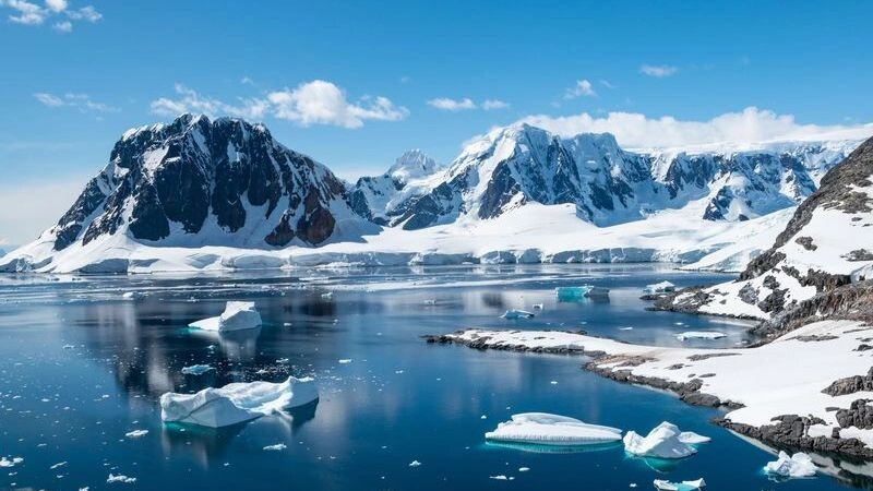    Фото: Nancy Pauwels/Shutterstock/Fotodom