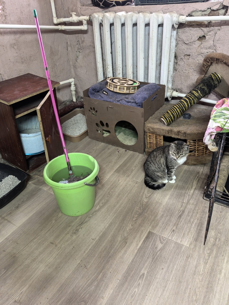 И не только. Фото волонтера Татьяны